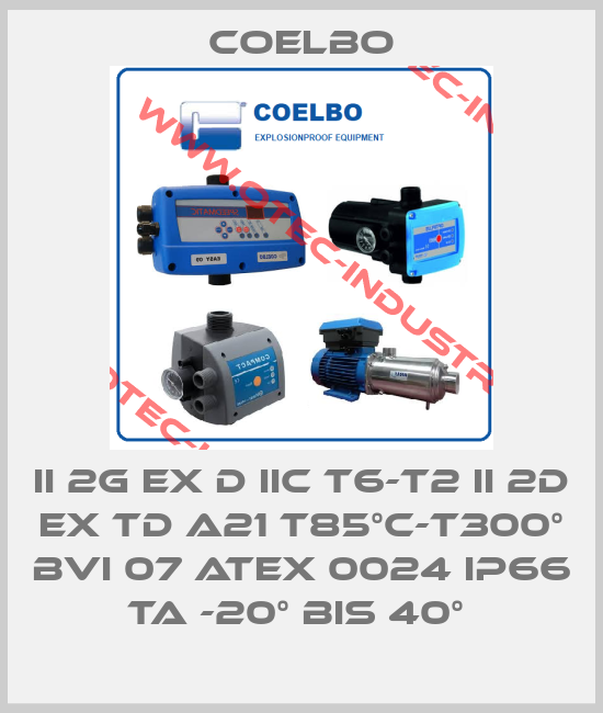II 2G EX D IIC T6-T2 II 2D EX TD A21 T85°C-T300° BVI 07 ATEX 0024 IP66 TA -20° BIS 40° -big
