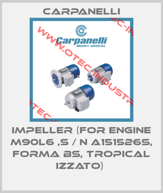 IMPELLER (FOR ENGINE M90L6 ,S / N A151526S, FORMA BS, TROPICAL IZZATO) -big