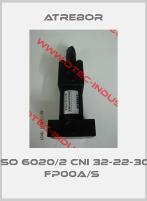 ISO 6020/2 CNI 32-22-30 FP00A/S -big