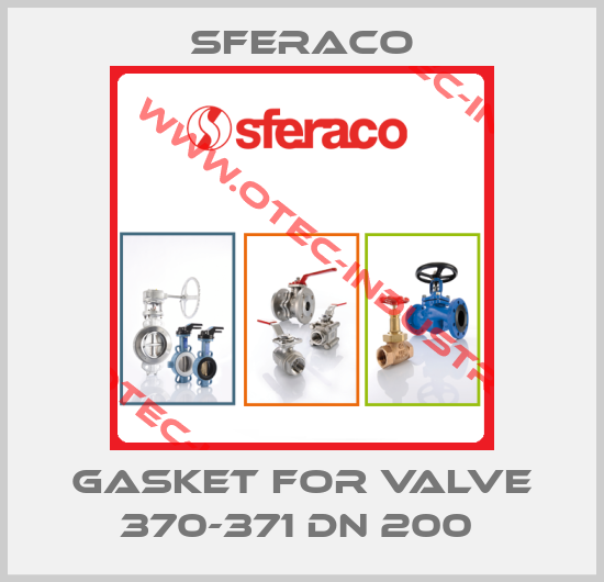 gasket for valve 370-371 DN 200 -big