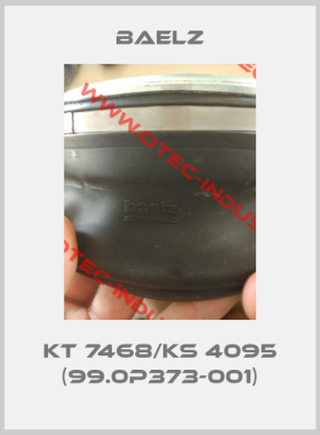 KT 7468/KS 4095 (99.0P373-001)-big