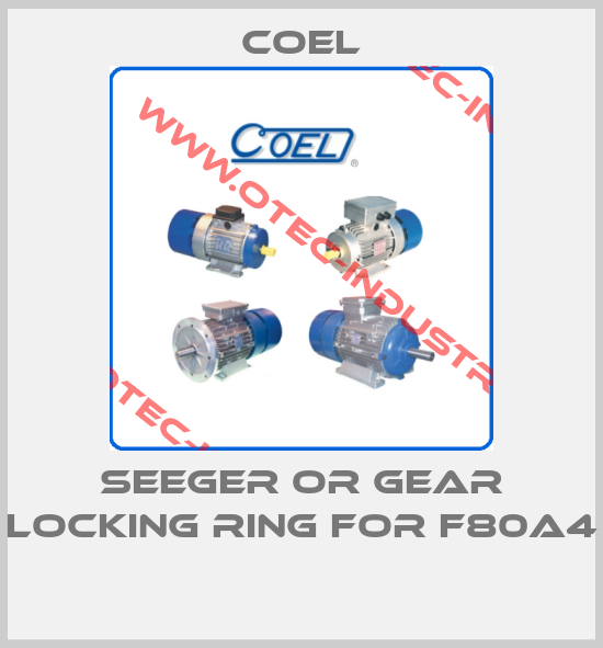 Seeger or gear locking ring for F80A4 -big