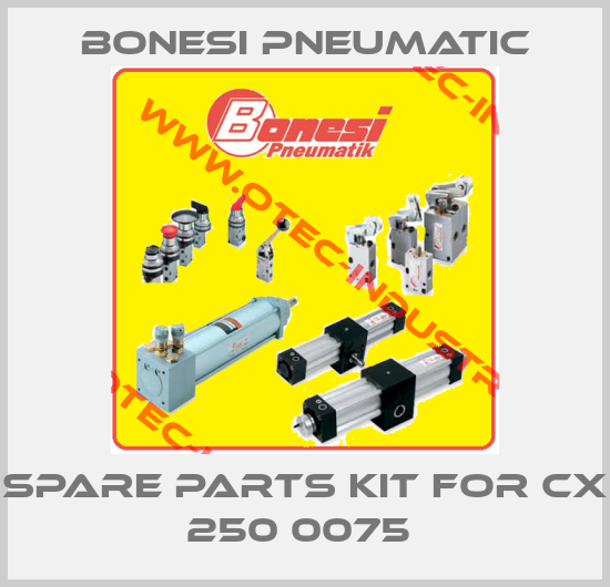 spare parts kit for CX 250 0075 -big