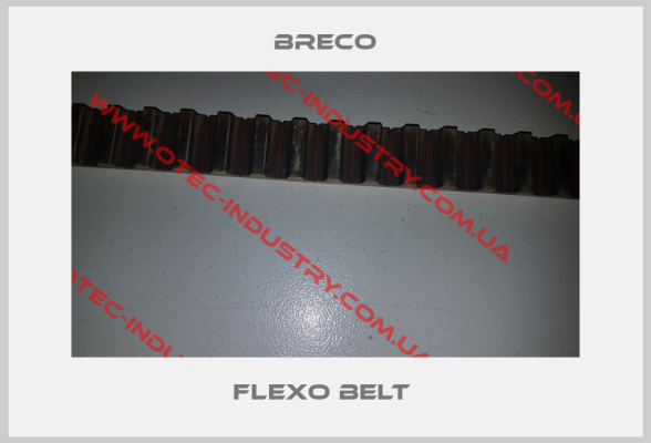 Flexo belt -big