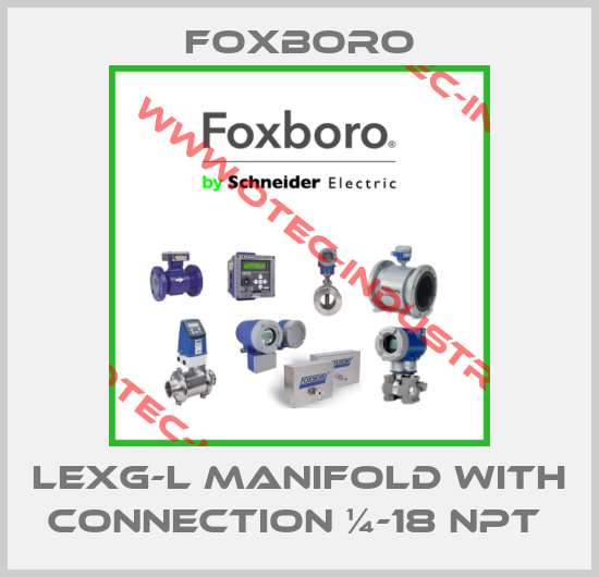 LEXG-L MANIFOLD WITH CONNECTION ¼-18 NPT -big