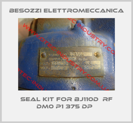 seal kit for BJ110D  RF DM0 P1 375 DP  -big