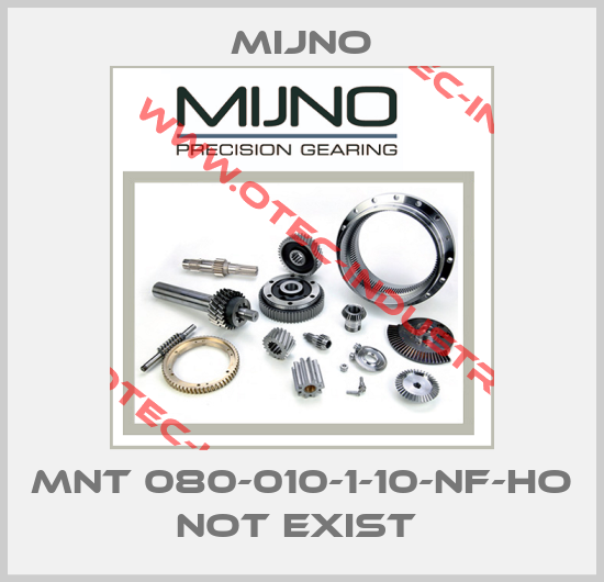 MNT 080-010-1-10-NF-HO not exist -big