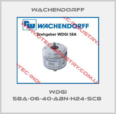 WDGI 58A-06-40-ABN-H24-SC8 -big