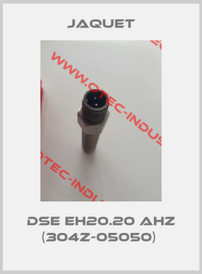 DSE EH20.20 AHZ (304Z-05050) -big