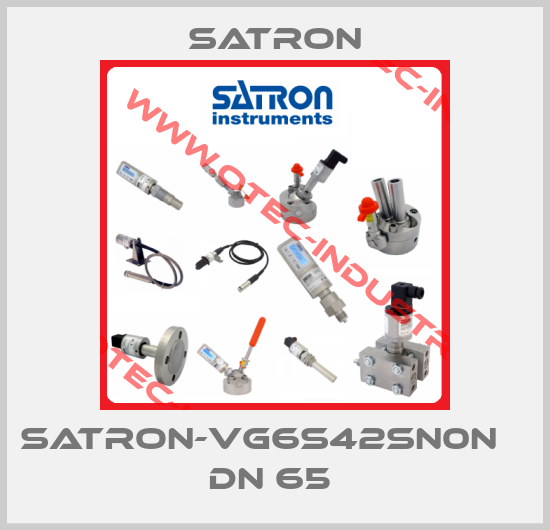 SATRON-VG6S42SN0N    DN 65 -big