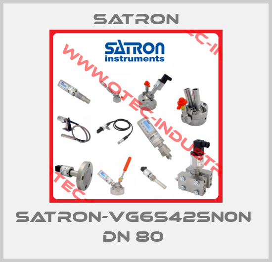 SATRON-VG6S42SN0N  DN 80 -big