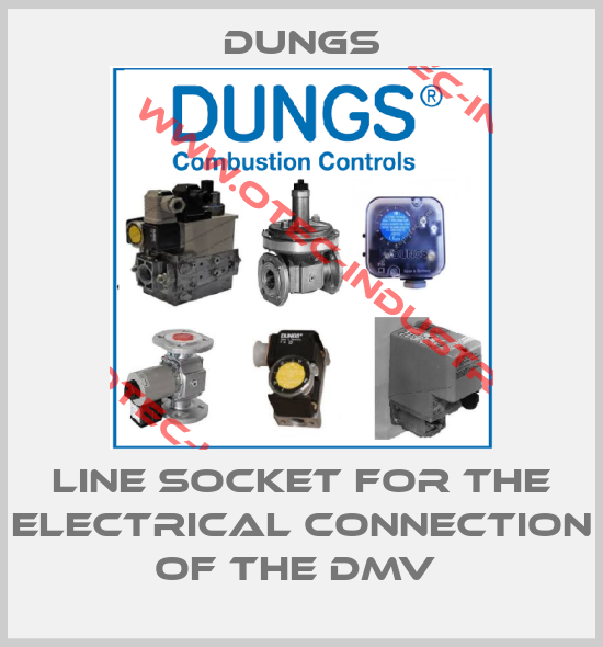 Line socket for the electrical connection of the DMV -big