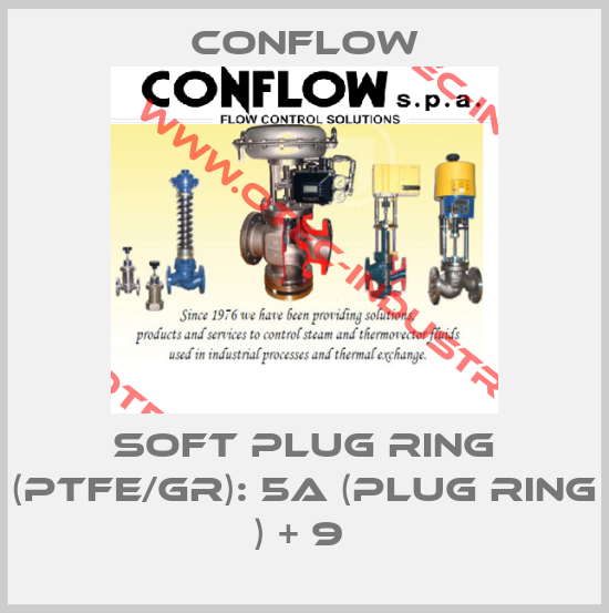SOFT PLUG RING (PTFE/GR): 5a (PLUG RING ) + 9 -big