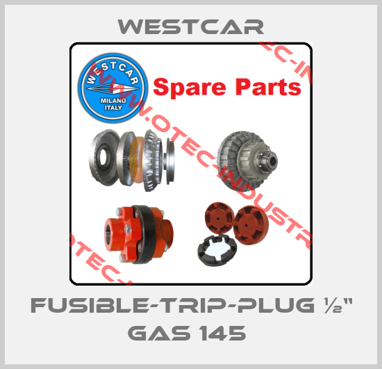 fusible-trip-plug ½“ GAS 145 -big