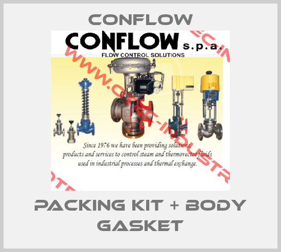 Packing kit + body gasket-big