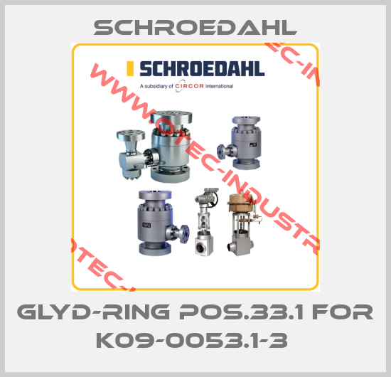 Glyd-Ring pos.33.1 for K09-0053.1-3 -big