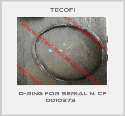 O-ring for Serial n. CF 0010373  -big