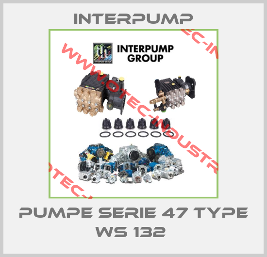Pumpe Serie 47 Type WS 132 -big