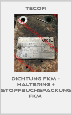 Dichtung FKM + Haltering + Stopfbuchspackung FKM -big