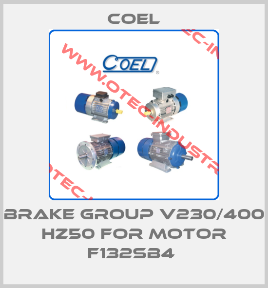BRAKE GROUP V230/400 HZ50 FOR MOTOR F132SB4 -big