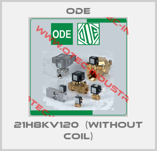 21H8KV120  (without coil)-big