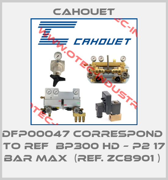 DFP00047 correspond  to ref  BP300 HD – P2 17 bar max  (ref. ZC8901 ) -big
