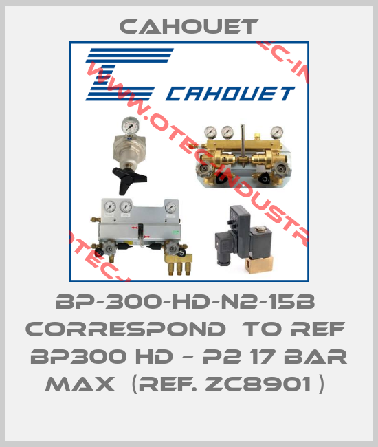 BP-300-HD-N2-15B  correspond  to ref  BP300 HD – P2 17 bar max  (ref. ZC8901 ) -big