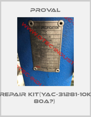 REPAIR KIT(YAC-31281-10K 80A용) -big