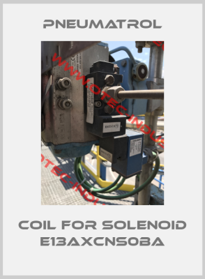 coil for solenoid E13AXCNS0BA-big