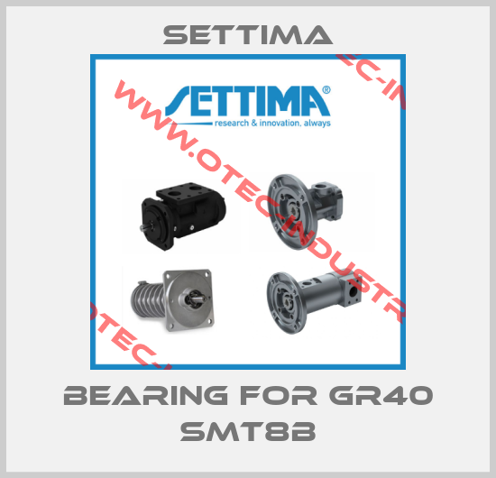 Bearing for GR40 SMT8B-big