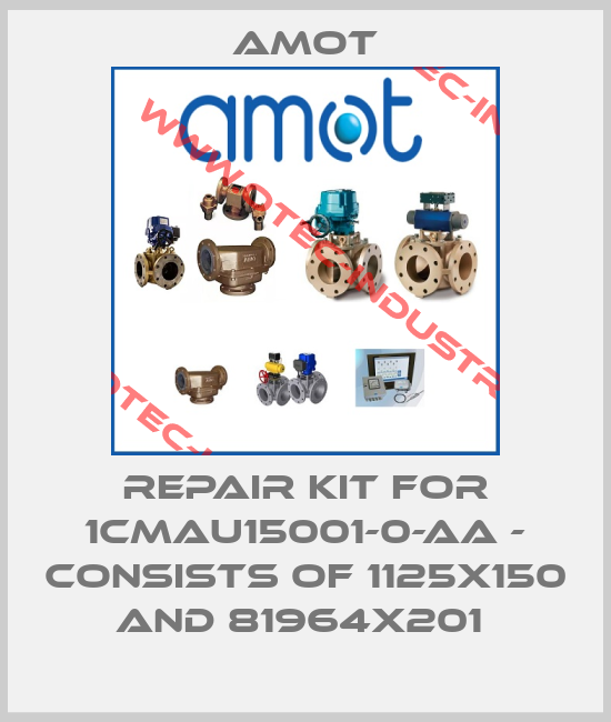 Repair kit for 1CMAU15001-0-AA - consists of 1125X150 and 81964X201 -big