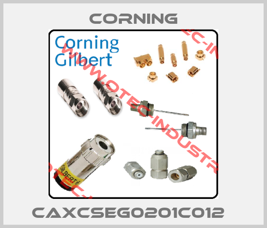 CAXCSEG0201C012  -big