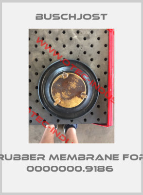 Rubber Membrane for 0000000.9186 -big
