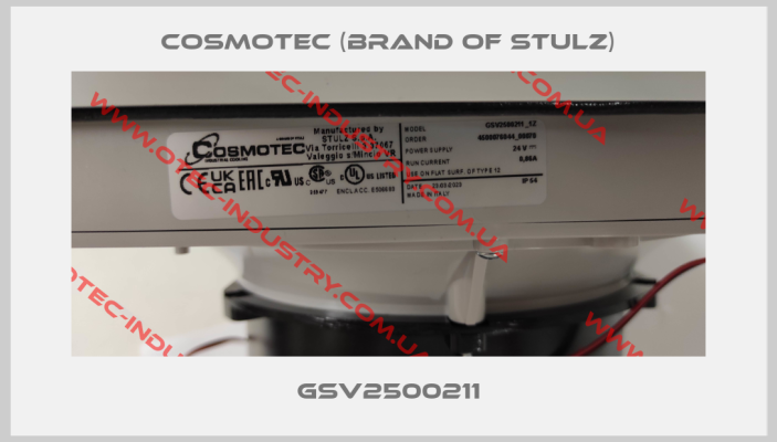 GSV2500211-big
