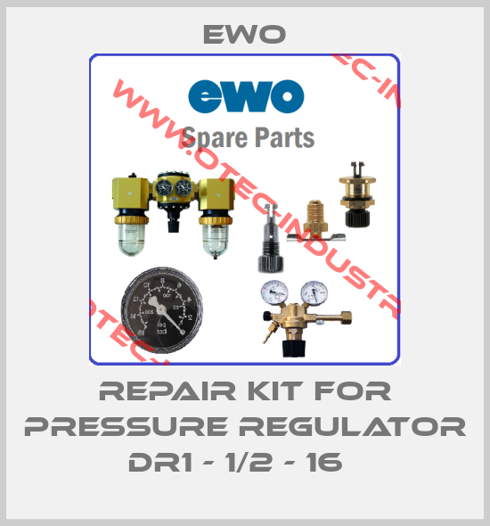 Repair Kit for pressure regulator DR1 - 1/2 - 16  -big