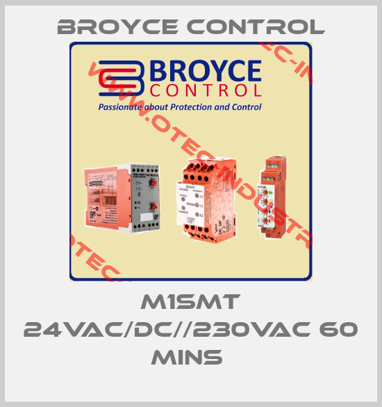 M1SMT 24VAC/DC//230VAC 60 MINS -big