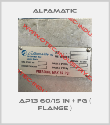 AP13 60/15 1N + FG ( Flange )-big