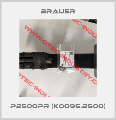 P2500PR (K0095.2500)-big