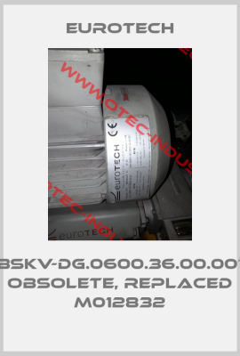 BSKV-DG.0600.36.00.001 obsolete, replaced M012832-big