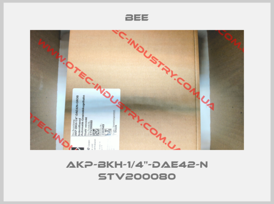 AKP-BKH-1/4"-DAE42-N STV200080-big