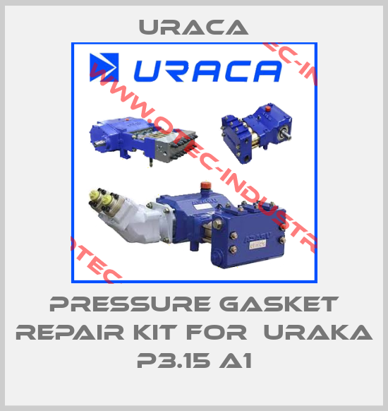 PRESSURE GASKET REPAIR KIT FOR  Uraka P3.15 A1-big