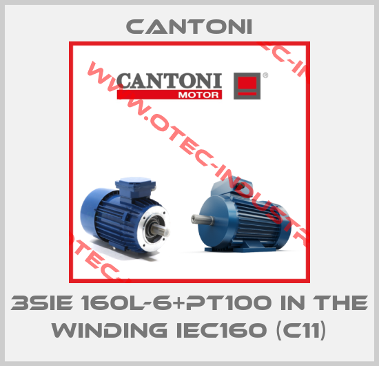 3SIE 160L-6+PT100 in the winding IEC160 (C11)-big