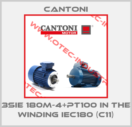 3SIE 180M-4+PT100 in the winding IEC180 (C11)-big