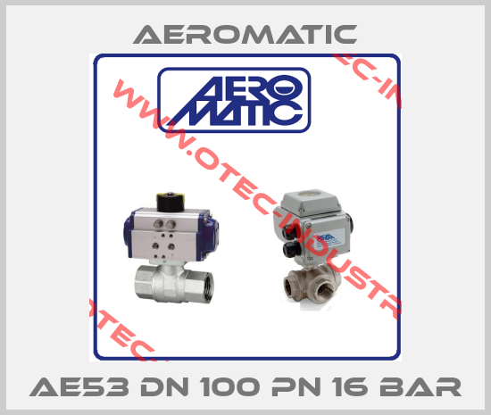 AE53 DN 100 Pn 16 bar-big