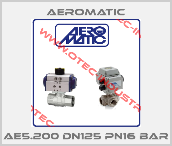AE5.200 DN125 Pn16 bar-big