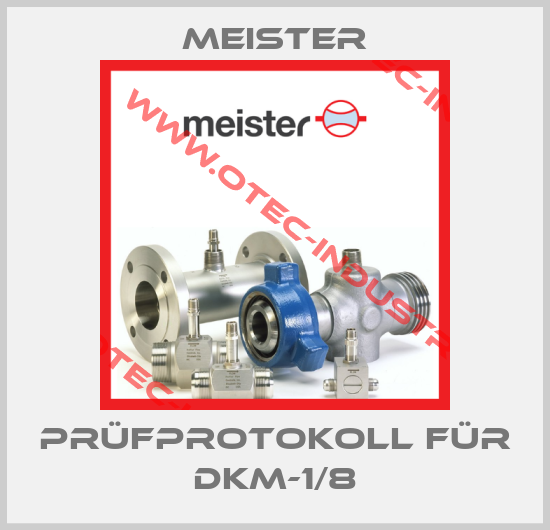Prüfprotokoll für DKM-1/8-big