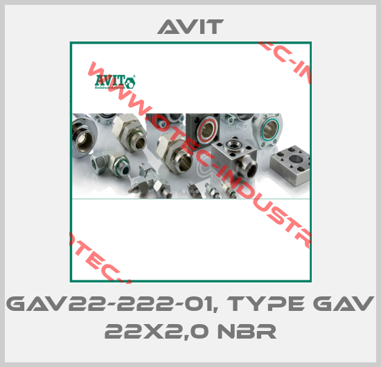 GAV22-222-01, type GAV 22x2,0 NBR-big