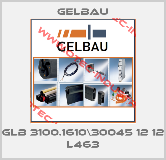 GLB 3100.1610\30045 12 12 L463-big