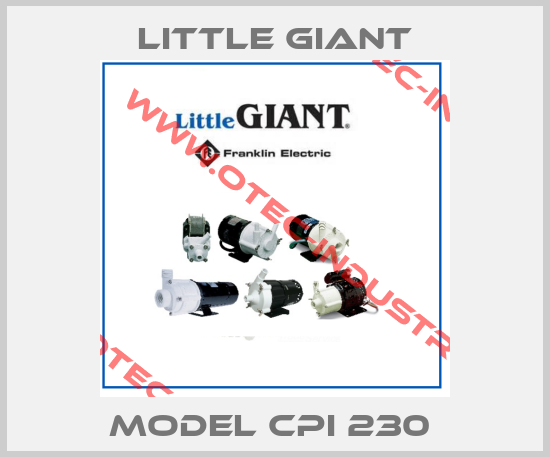 MODEL CPI 230 -big