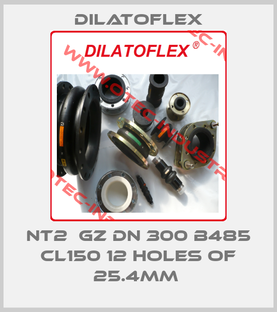 NT2  GZ DN 300 B485 CL150 12 HOLES OF 25.4MM -big
